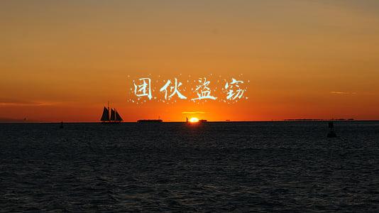 团伙盗窃
