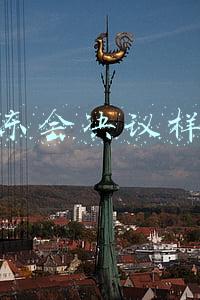 股东会决议样本