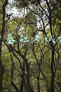 会计基础考试大纲
