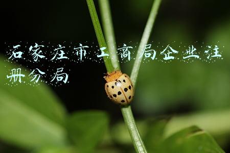 石家庄市工商局企业注册分局