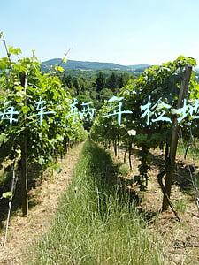 上海车辆年检地址