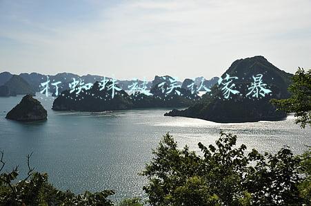 打蜘蛛被误认家暴