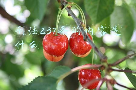 刑法237条的内容是什么