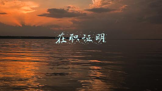 在职证明