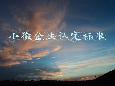 小微企业认定标准