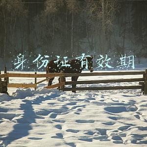 身份证有效期
