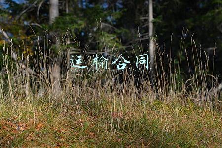 运输合同