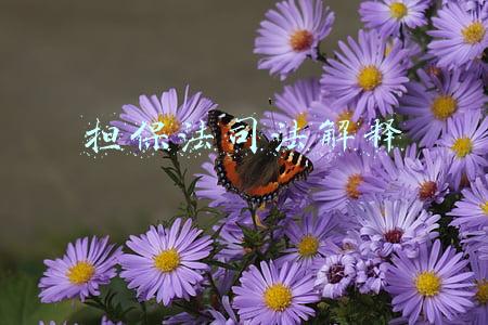 担保法司法解释