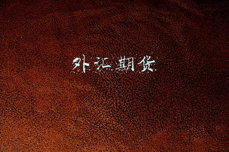 外汇期货
