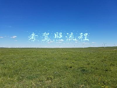考驾照流程