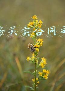 最高人民法院关于商品房买卖合同司法解释(最新商品房买卖合同纠纷司法解释不再保留开发商双倍赔偿条款)