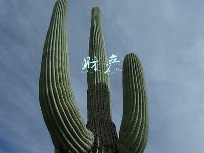 财产