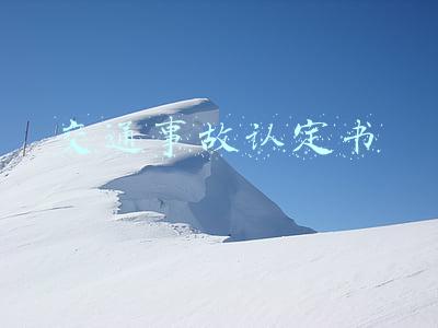 交通事故认定书在哪里查询(「问答165」如何认定和评价交通肇事后的逃逸行为？)