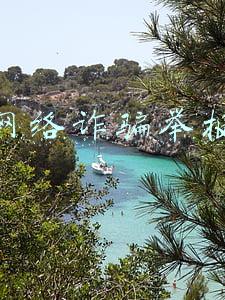 网络诈骗举报