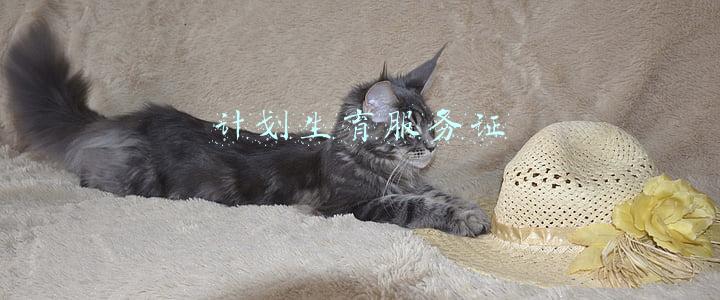 计划生育服务证号码指的是什么(5月20日，凉山州启用新生育服务证 免费办理 统一规格 统一编号 统一“打印体”)
