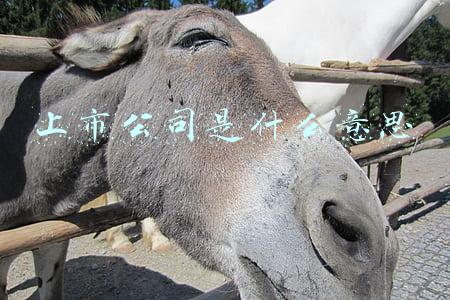 香港主板上市公司是什么意思(香港联交所提高主板上市门槛至三年累计盈利8000万港元)