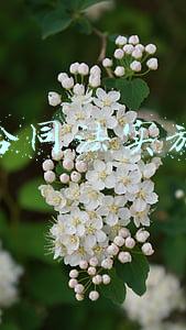 企业劳动合同法实施细则(「企业全程无忧人力资源管理」签订劳动合同之三：劳动合同期限)