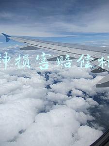 精神损害赔偿标准