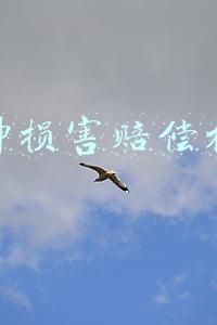 精神损害赔偿标准