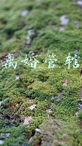 离婚管辖