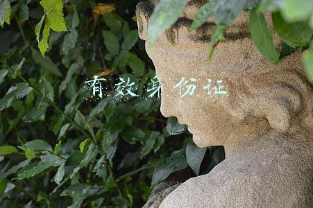 有效身份证