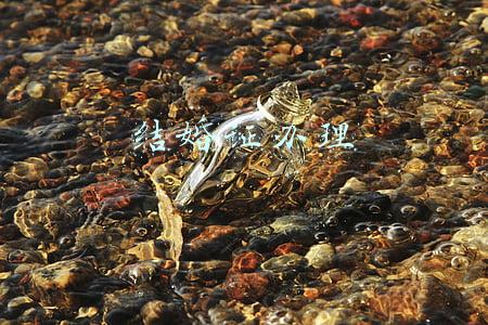 结婚证办理