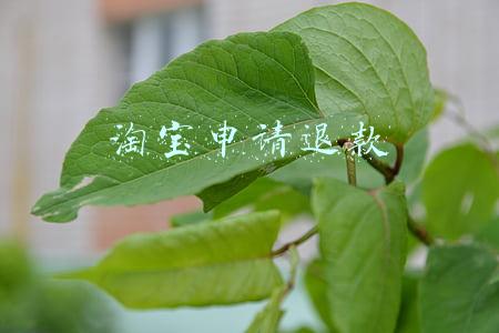 淘宝申请退款