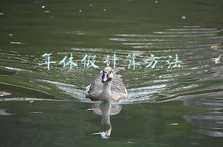 年休假计算方法