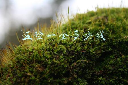 五险一金多少钱