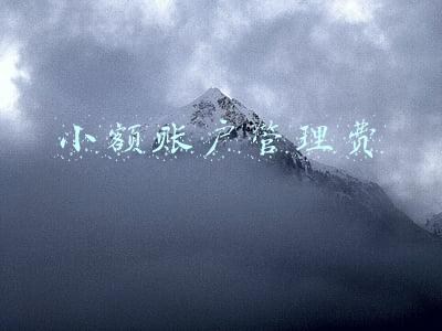 小额账户管理费