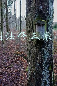 刑法修正案七
