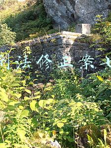 刑法修正案七