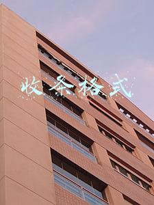 收条格式