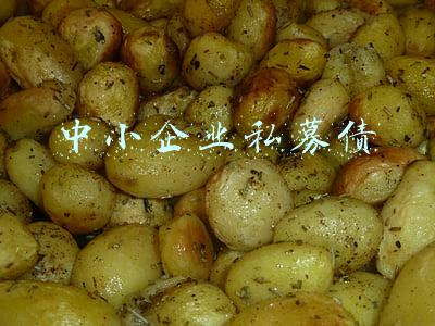 中小企业私募债券(中小企业私募债券业务说明)