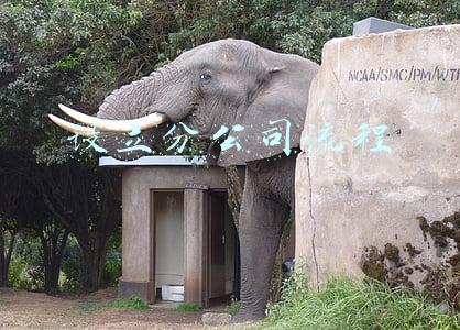 怎么成立子公司(亿顺股份拟投资10万设立全资子公司)