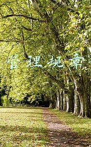 公司管理规章制度