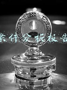 案件分析报告