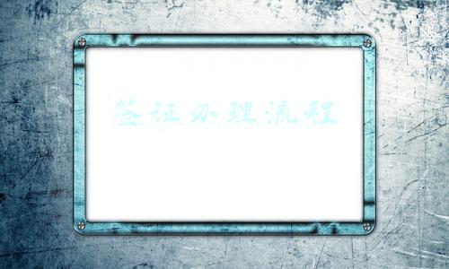 签证办理流程