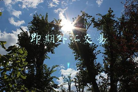 即期外汇交易的作用包括(哪几个用处是远期外汇交易所拥有的？)