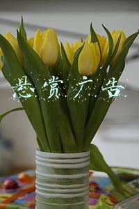 悬赏广告