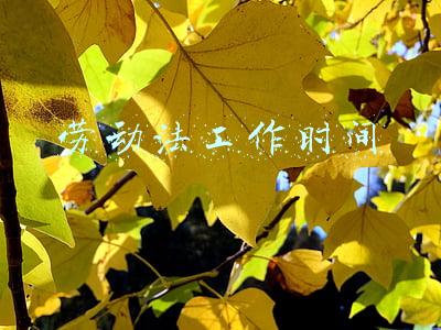 劳动法工作时间