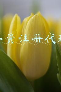 代办外资注册公司(外资企业如何办理EDI许可证(外资EDI经营许可证代办))