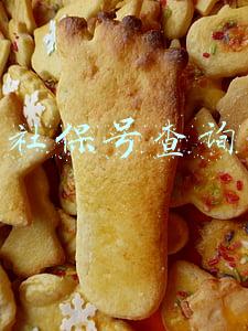 查询社保号怎么查(怎么查社保号？公司没有交社保怎么处理)