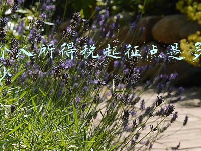 2017年个人所得税起征点是多少(个税5000元起征10月1日有望执行，新版税率级距公布)