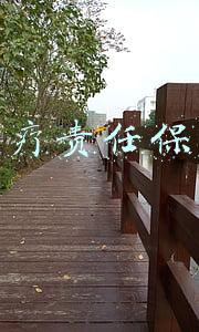 医疗责任保险