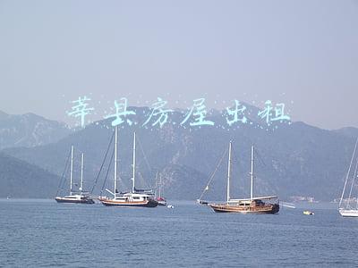 莘县房屋出租 莘县房屋出租