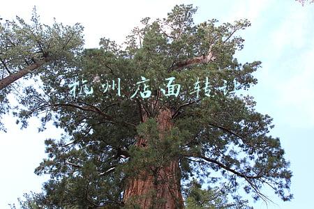 杭州店面转让