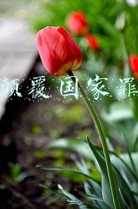颠覆国家罪