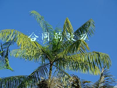 合同的效力
