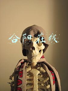 合阳在线